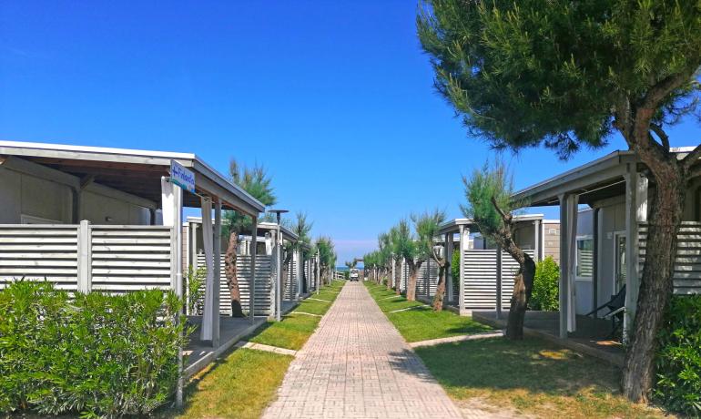 Viale alberato tra bungalow, cielo azzurro, atmosfera rilassante e vacanziera.