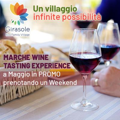 Marche Wine Tasting Experience