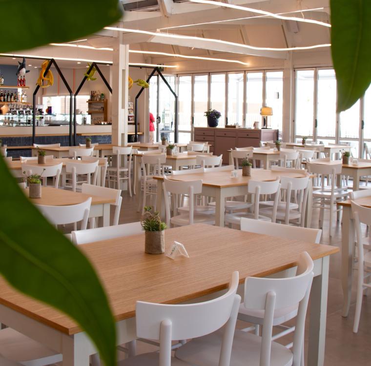 Ristorante luminoso e accogliente, tavoli in legno, sedie bianche, piante decorative.