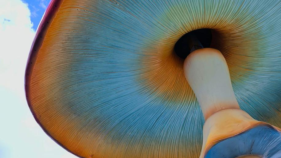 Un grande fungo colorato sotto un cielo azzurro e nuvole bianche.